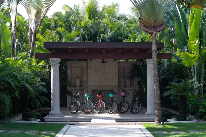 The garden pavilion among the palms, bicycles lined up beneath it
